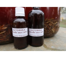 Настоянка воскової молі