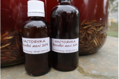 Настоянка воскової молі